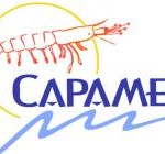 capamex-logo