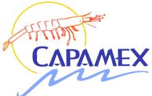 capamex-logo